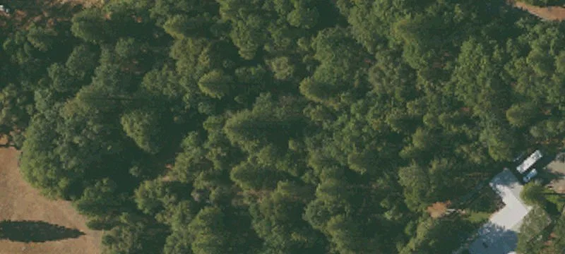 Unimproved Land