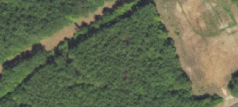 Timber Farmland With County Road Frontage