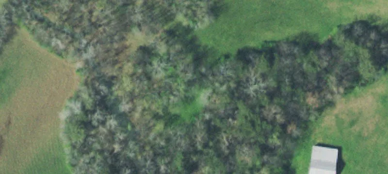 Fenced Farm with Creek