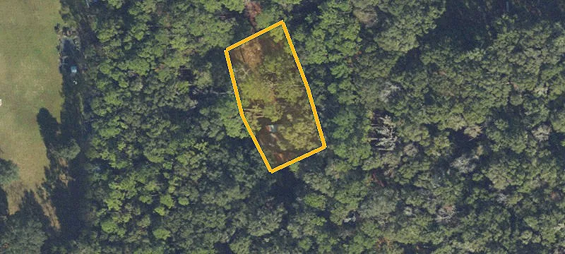 Agricultural Land with Pine Stand