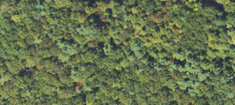 Tract 2A Stevens Ridge Road, Ellijay, GA 30540