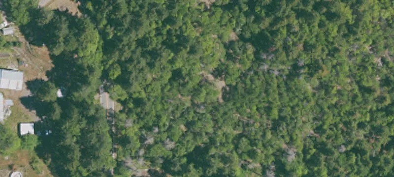 Land or Vacant Lot