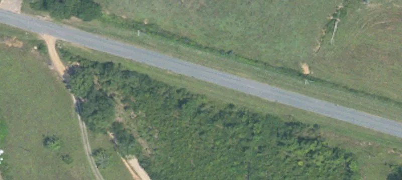 Agricultural Land with Pasture and Timber