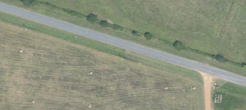 Pasture and Timber Farmland