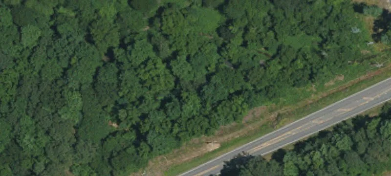 Unimproved Land