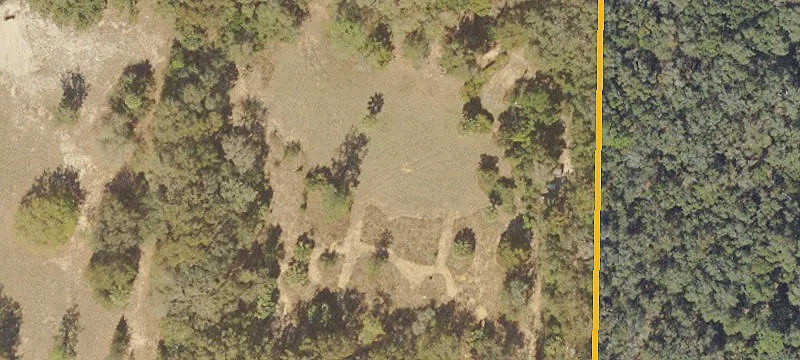 Lightly Wooded Land Parcel