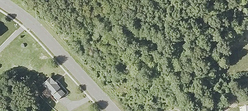 Land or Vacant Lot