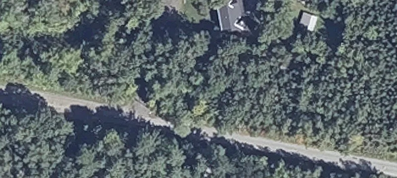Wooded Hunting Land With Pond