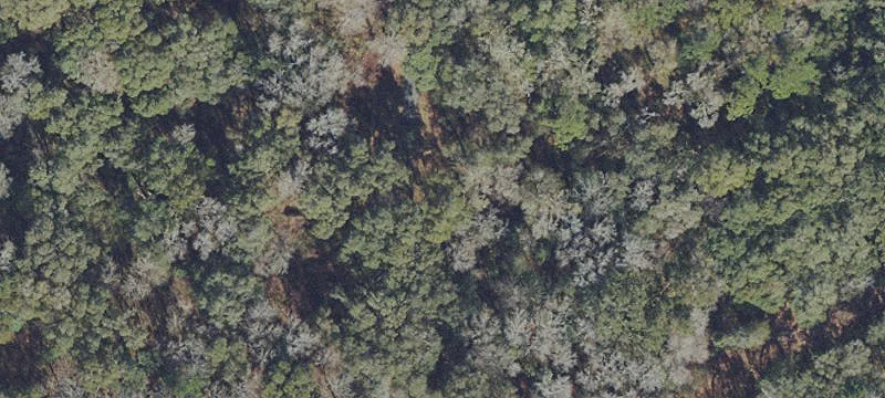 LOT 21A BELLAMY Road, Florahome, FL 32140