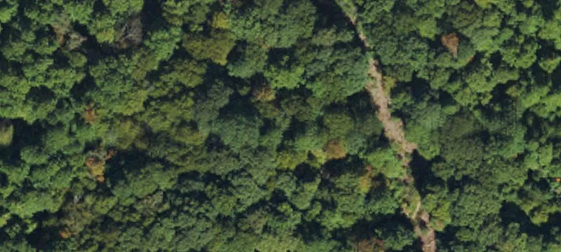 Unimproved Land
