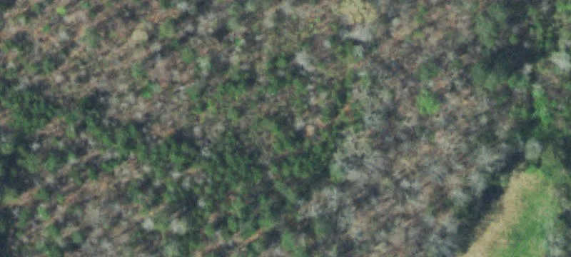 Farm