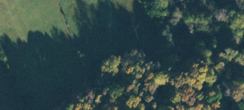 Hunting Land with Spring-Fed Pond