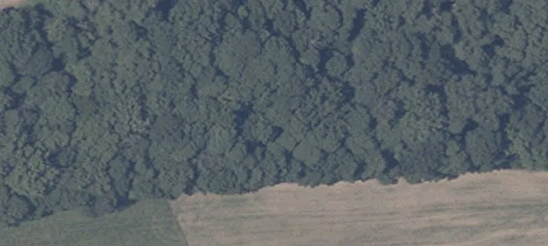 Tillable Agricultural Land with Pond