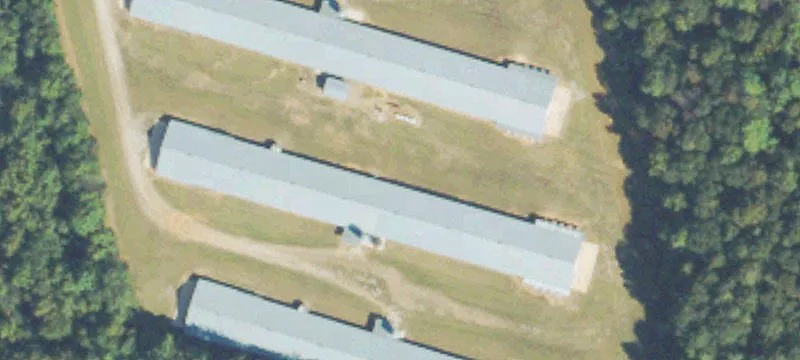 Wooded Agricultural Land