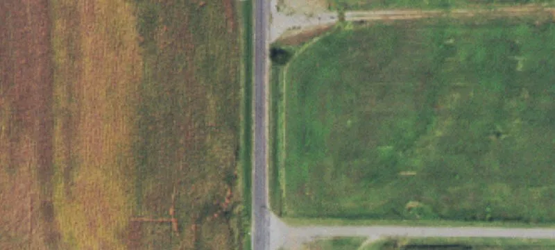 Farmland with Tree Rows