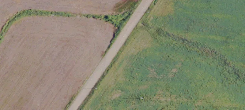Equipped Dairy Farm