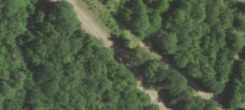 Heavily Wooded Hunting Land