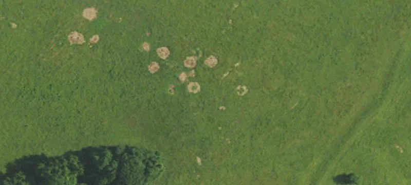 Private Farm Estate