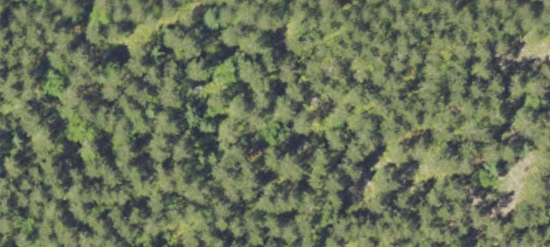Unimproved Land