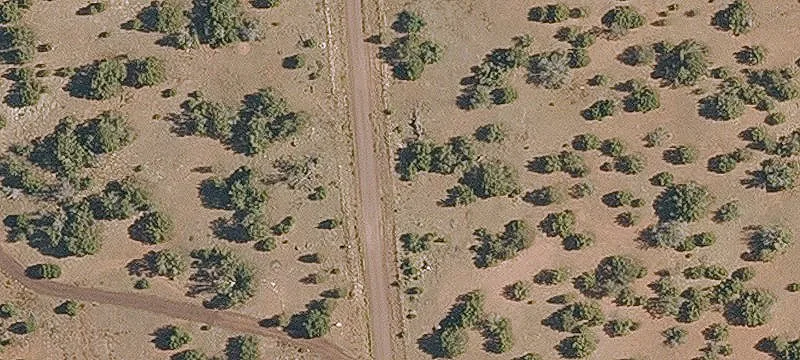 Treed Land Parcel