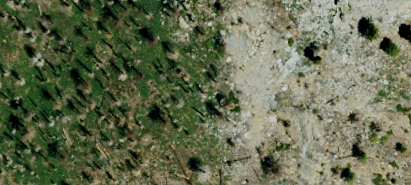Land