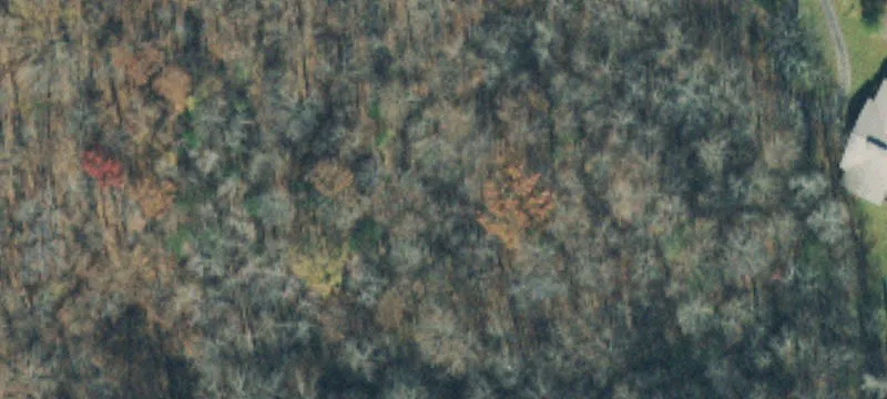 Waterfall Land Tract