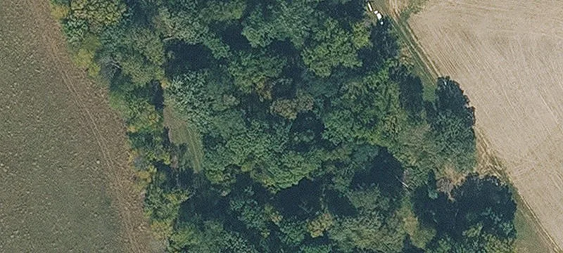 Loess Hills Farm With Timber