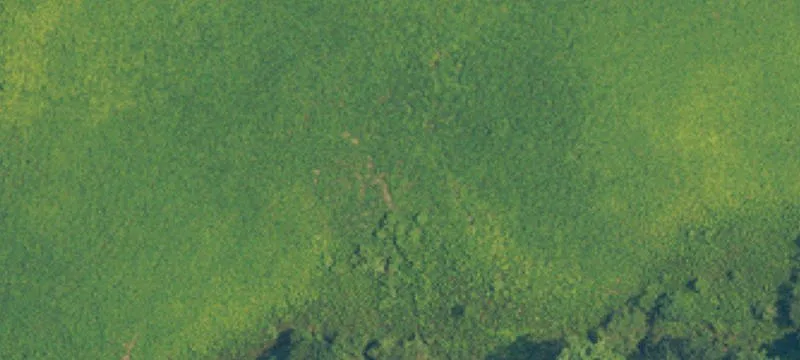 Unrestricted Farmland