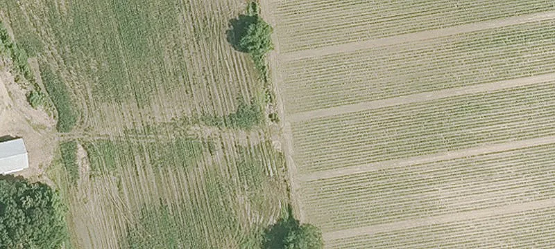 Land