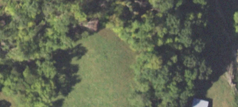 Exotic Animal Farm With Airstrip