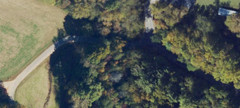 Mountain Land with Hardwood Timber