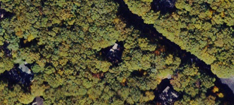 Vacant Land / Lots