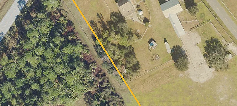 Heavily Wooded Land Parcel