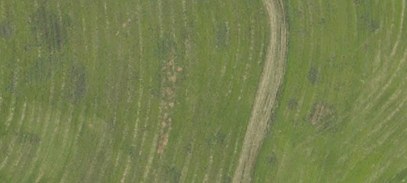Farm with Horse Barn