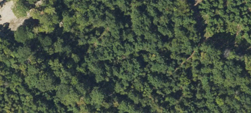 Hunting Land with Trails