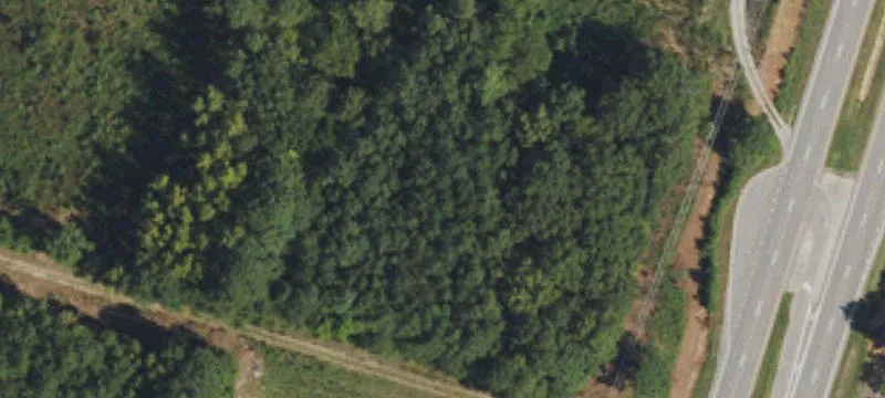 Wooded Commercial Land