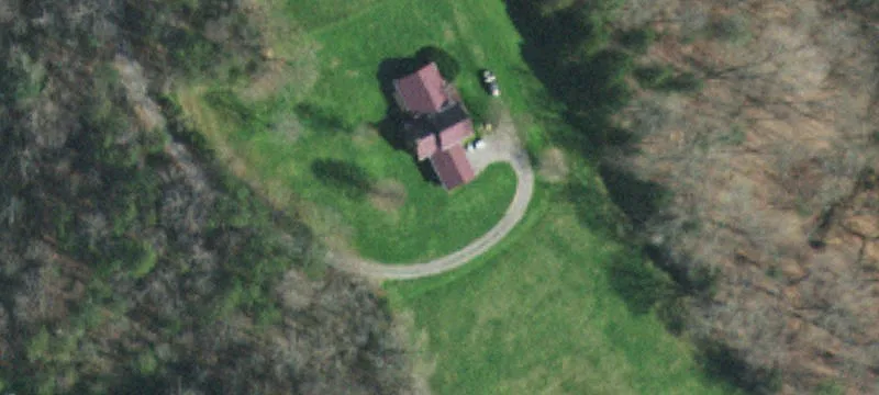 Wooded Land with Spring