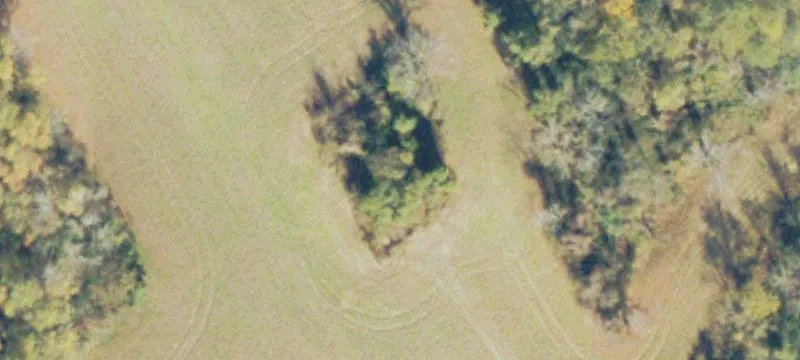 Agricultural Land with Mature Trees