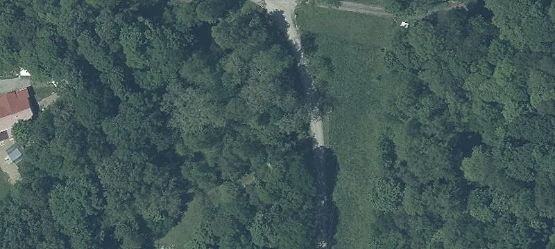 Hunting Land with Cabin
