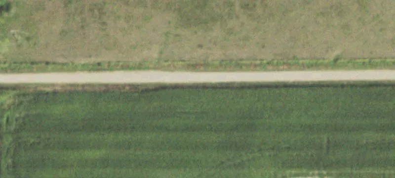 Income-Producing Hunting Farm