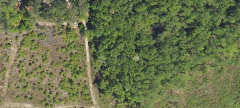 Creekside Hunting Land