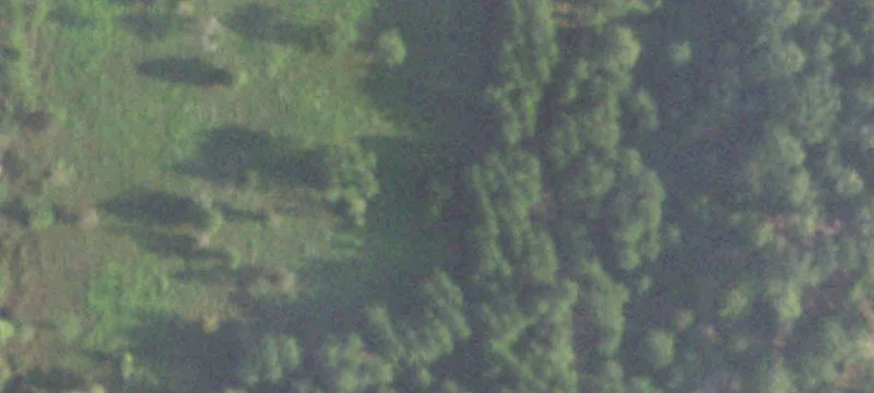 Farm Property
