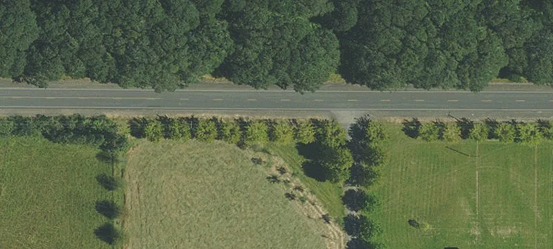 Forested Land Near Fish Hatchery