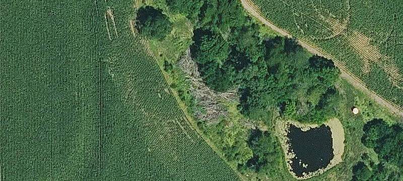 Managed Hunting Land with Pond