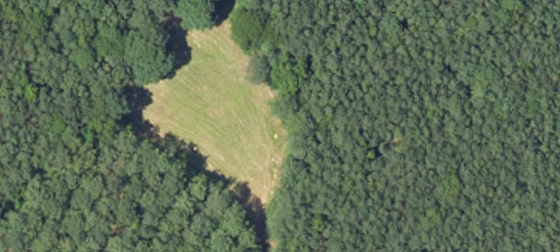 Lots/Land