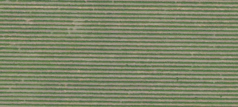 Crossroads Commercial Land