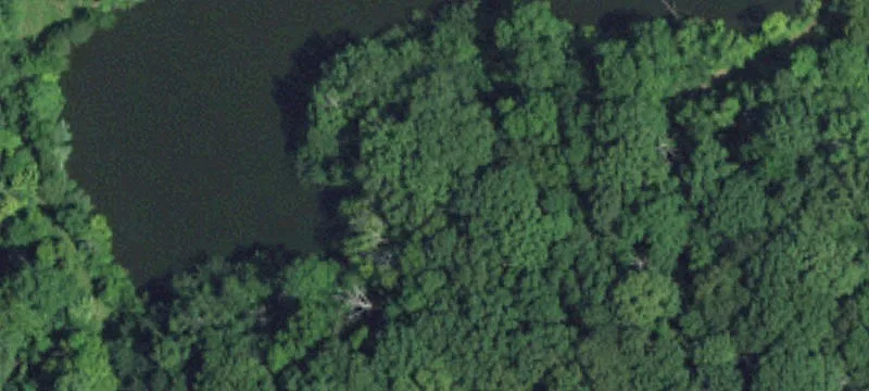Secluded Hunting Land