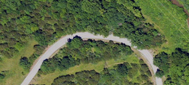 Wooded Waterfront Land