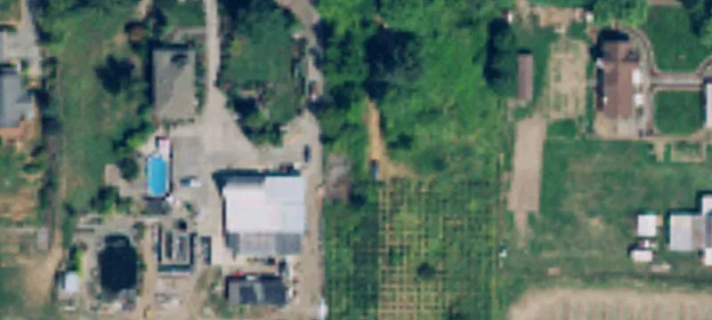 Agricultural Land with Blueberry Plantings