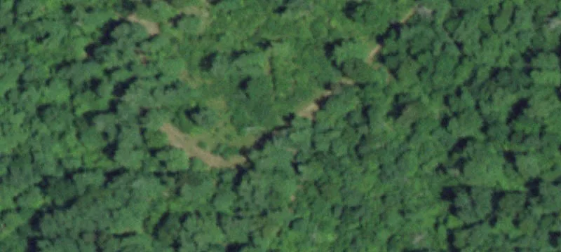 Wooded Hunting Land with Shooting Range
